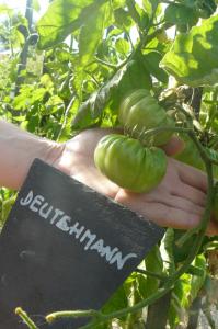 tomates deutehmann